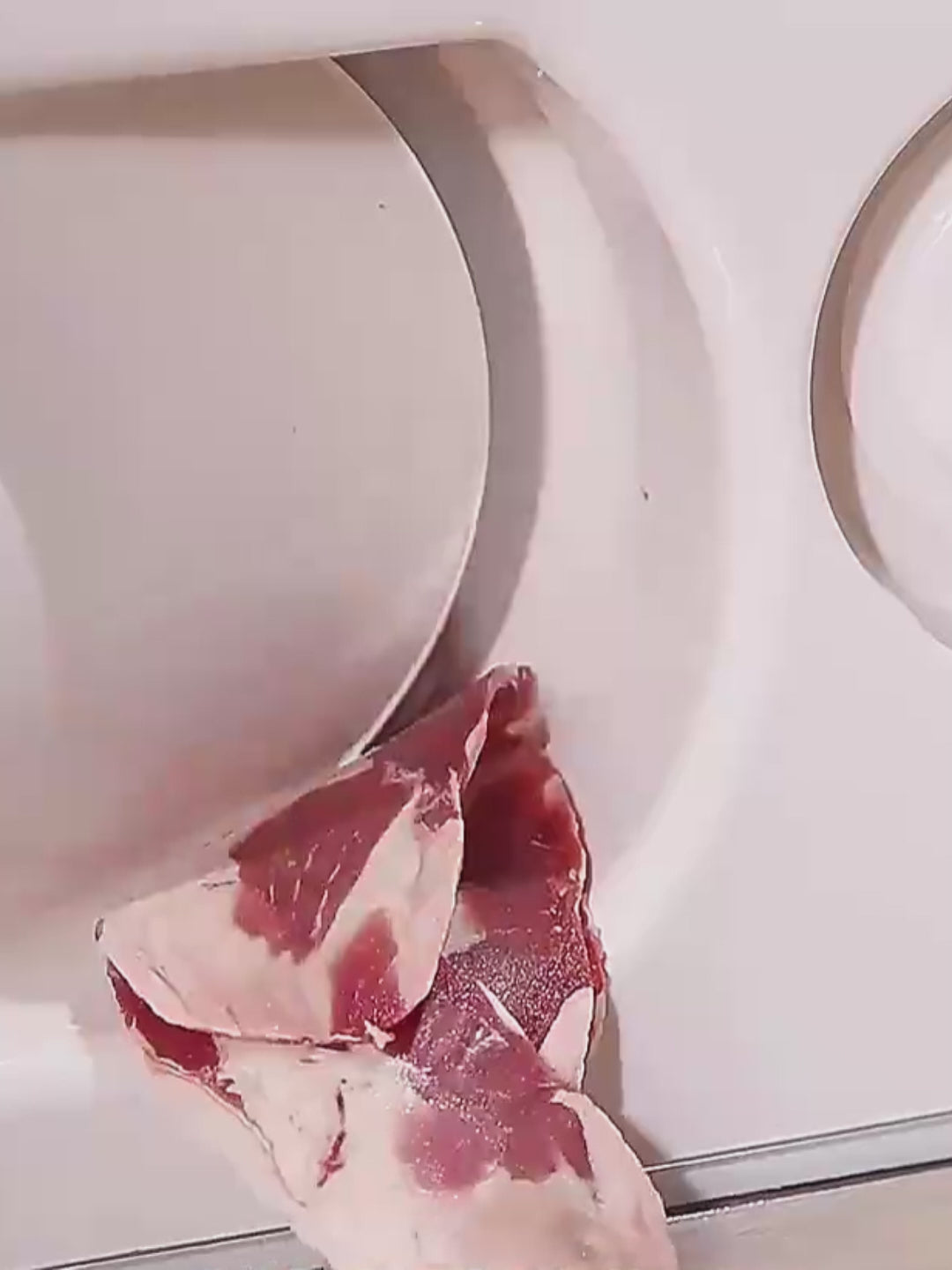 動画を読み込む: 